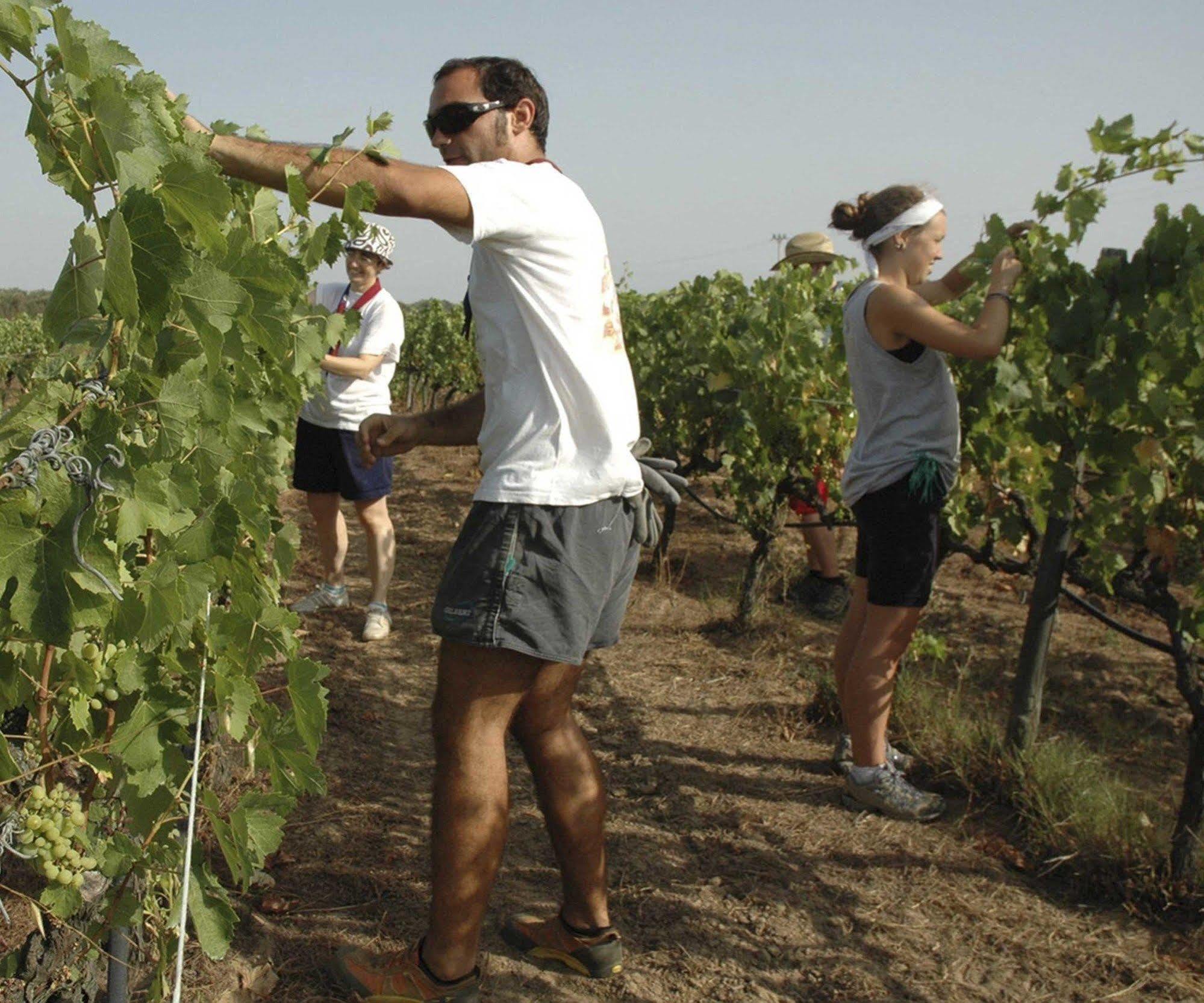 Agriturismo Borgo Dell'Aschetto Marina di Cerveteri Luaran gambar